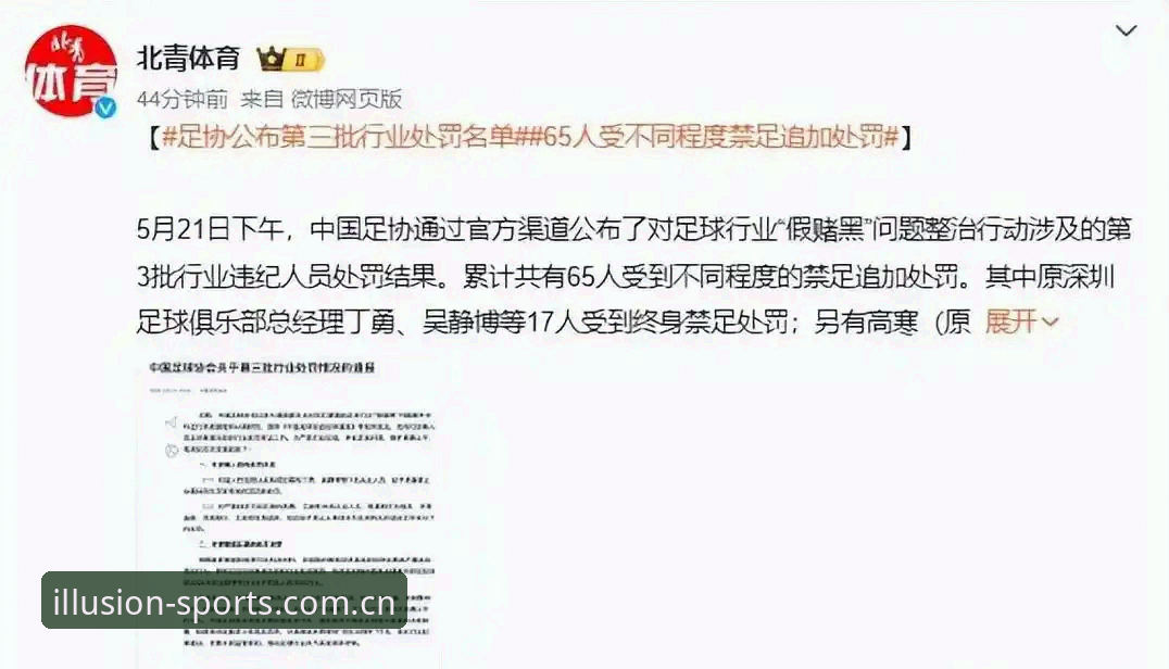 中国足协第三批禁足名单出炉，行业乱象深度解析最新动态